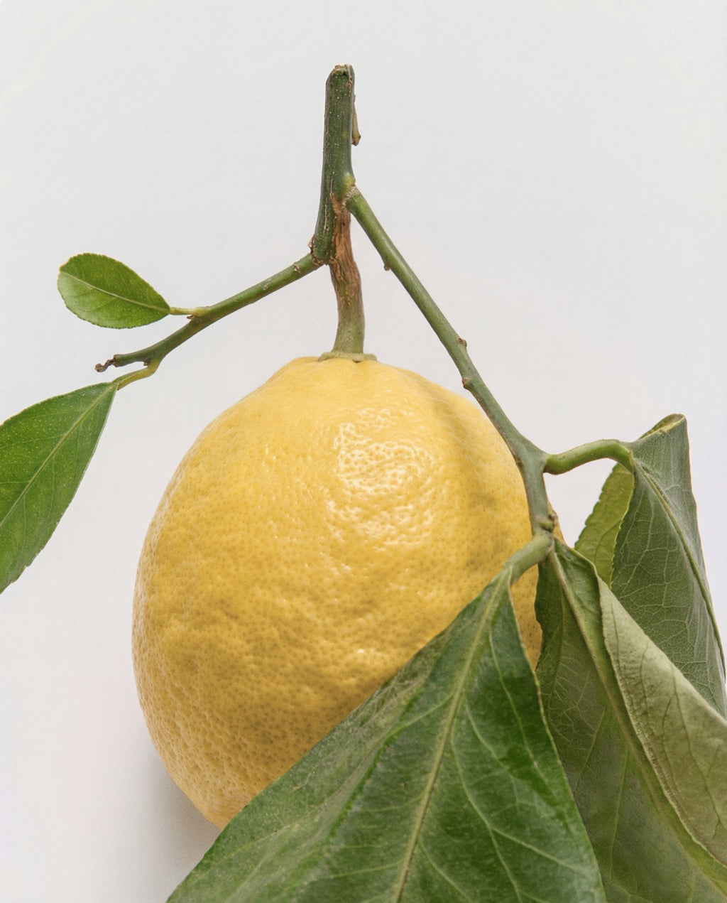 Puro Limone