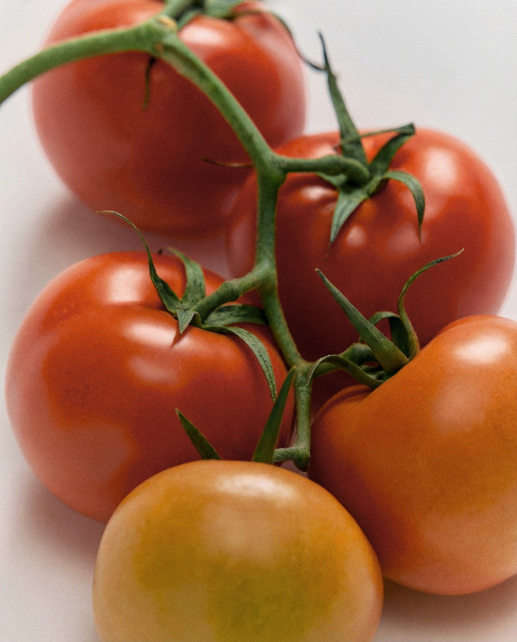 Puro Pomodoro